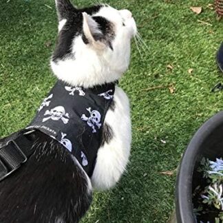 Mynwood Cat Jacket / Harnesses Skull Adult Cat Escape Proof