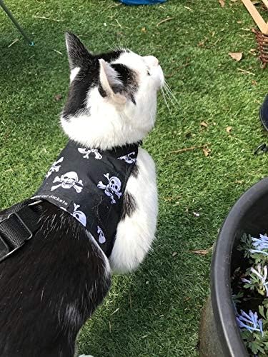 Mynwood Cat Jacket / Harnesses Skull Adult Cat Escape Proof