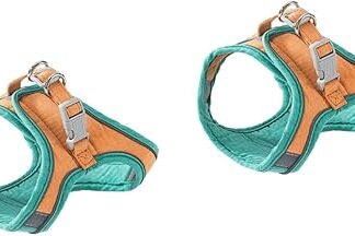 POPETPOP 2 Sätze Katzenleine Katzengeschirr Verstellbar Katzenweste Geschirr Für Welpen Fluchtsicheres Katzengeschirr Katze Einziehbare Leine Atmungsaktiv Hosenträger Eingestellt Wildleder-