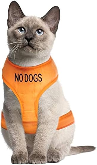Dexil Colour Coded Cat Harness Warning Alert Vest Padded and Water Resistant Orange NO DOGS (L-XL)