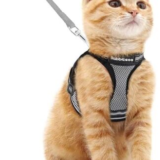 rabbitgoo Cat Harness Lead Set, Harness for Cats, Escape-Proof Cat Lead, Adjustable, Soft Kitten Vest with Reflective Strips for Extra Small Cats