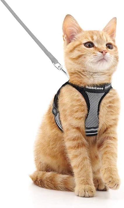 rabbitgoo Cat Harness Lead Set, Harness for Cats, Escape-Proof Cat Lead, Adjustable, Soft Kitten Vest with Reflective Strips for Extra Small Cats
