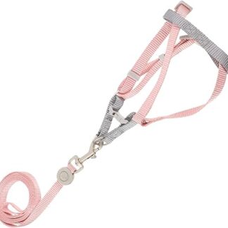 Yardwe 1 Satz Verstellbares Katzengeschirr Katzenspielzeug Katzentransporter Katzen-Tracker Katzengeschirr und Leine Katzenhalsbänder Kätzchengeschirr und Leine ausbruchsicher Polyester