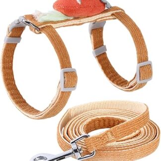 BESPORTBLE 1 Set Dog and Cat Lead Set, Cat Collar and Lead Pull Lead for Cats, Cartoon Cat Harness Set, Pull Rope for Pets, Outdoor Accessories for Dogs, Orange, Polyester