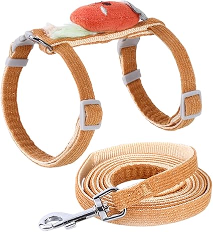 BESPORTBLE 1 Set Dog and Cat Lead Set, Cat Collar and Lead Pull Lead for Cats, Cartoon Cat Harness Set, Pull Rope for Pets, Outdoor Accessories for Dogs, Orange, Polyester