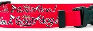 Yellow Dog Design I'm A Good Dog Dog Collar - Size Cat 8" to 12" Long - Made In The USA
