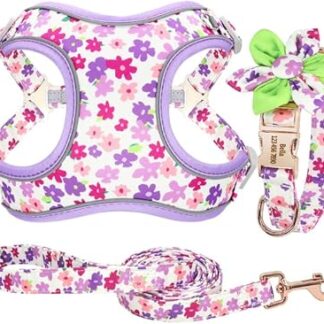 Puppy Neckwear Dog Harness 3 Pieces/Lot Personalised Dog Collar Harness Lead Set Dog Collar Harness for Medium Large Dogs/Purple/S