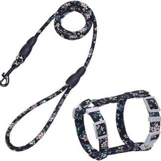 Ipetboom Traktionsgurt für Katzen kleine Hundeleine Katzenhalsband Leine Haustierleine gewidmet keilriemen Haustier Geschirr Haustierzubehör die Katze Leinen Katzengeschirr