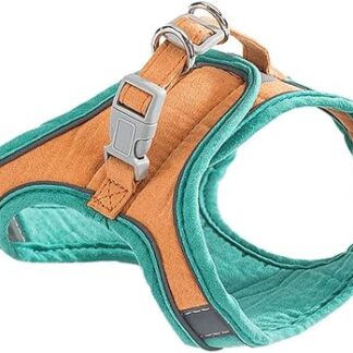 GREENADSCAPE 1 Set Cat Lead, Kitten Lead, Portable Cat Harness, Cat Harness, Safety Vest, Pet Supplies, Cat Care, Adjustable Running Rope, Outdoor Walking Harness, Suede, Orange