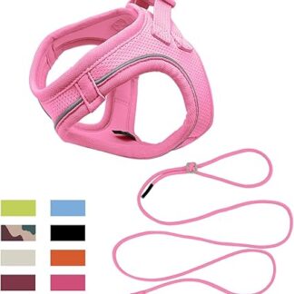 Qianruida Harness and Lead for Cats, Adjustable Cat Harness Made of Soft Breathable Mesh, Reflective Cat Vest for Small Cats and Dogs, Walking, Running, Training (ROSEO M)