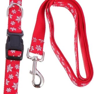 BUGUUYO Katzenhalsband 1 Satz Schneeflocke Leine Outdoor-Zubehör Haustierhalsband mit Leine laufgürtel Seil Haustierzubehör