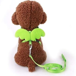 Verstellbares Katzenhalsband Katzengeschirr und Leine Set geeignet für kleine Hunde und Katzen Leine Haustierzubehör-Grün_S_20-34cm