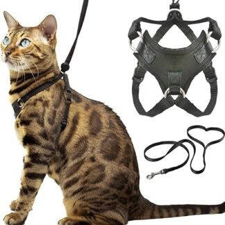 Houdini™ Escape Proof Kitten Harness and Lead Set by OutdoorBengal for Running Kittens - Small