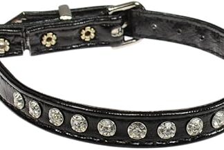 Evans Collars Jeweled Cat Safety Collar with Elastic, Size 10, Croc, Black