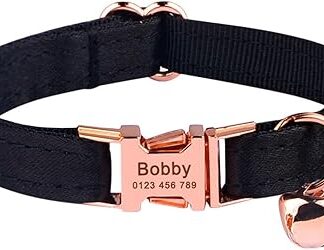 Engraved Kitten Cat Collar Small Medium Large Cat Collar Print Flower Nylon Collar Custom Cat Supplies Unisex Pet Tag, Black, S (16 cm-26 cm)