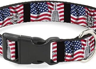 Cat Collar Breakaway Empire State Building NYC 6 to 9 Inches 0.5 Inch Wide