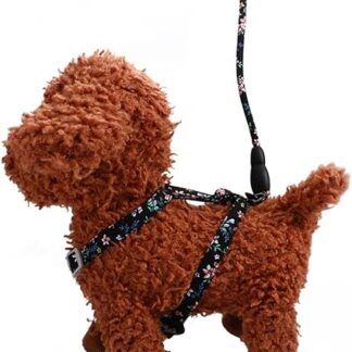 COLLBATH Haustierbedarf Glocke Hunde abbrechbares Katzenhalsband Fenster der Katzenhängematte Haustierzaun Abs pet Supplies Katzen Kleidung keilriemen Katzengeschirr Haustier Geschirr Black