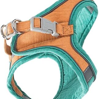 BELLIFFY 1 Satz Katzenleine pet Supplies katzenpflege Haustierleine katzenbedarf Katzengeschirr und Leine Outdoor-Weste Katze verstellbares Geschirr Outdoor-Gehgeschirr Wildleder- Orange