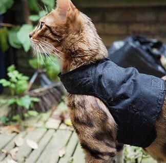 Mynwood Adult Cat Jacket Harness Black