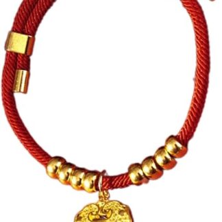 Chinese New Year Pet Collar, Year of Snake Dog Collar, Adjustable Chinese Pet Collar, Lucky Red Pet Necklace, Cat Collar for New Year, Festive Dog Collar for Pets, Pet Neck Decor for Cats, Red New Yea