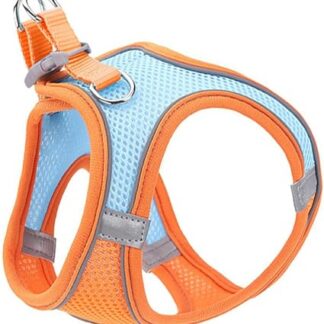 GANAZONO Haustier Geschirr pet Supplies haustierbedarf Hundegeschirr katzenhalsband Katzen Hängematte Träger Dackel Welpenstift Seil Haustierleine Katzenwestenleine Stoff Orange