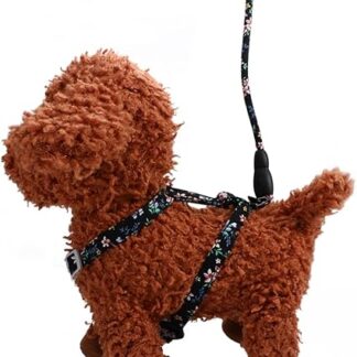 FOMIYES kleine hundegeschirre Katzenhalsband Leine Haustierkomfort Traktionsgurt für Katzen Straps keilriemen Katze Geschirr Gurt Katzengeschirr Haustierzubehör gewidmet Leinen Seil