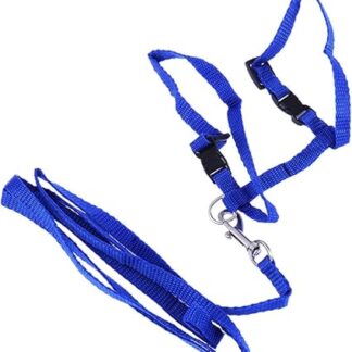 Toddmomy Haustierzubehör cat Leash cat Harnesses Katzen Accessoires Katzen-Geschirr katzenzubehör Katzenleine Haustierbedarf Haustier-Traktionsseil Katzenhalsband Leine Katzengeschirr Blue