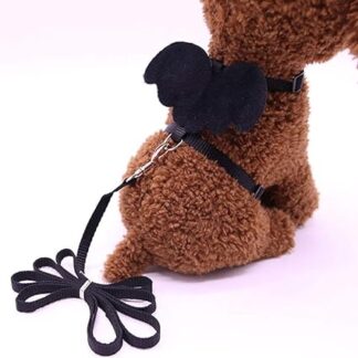 Adjustable Cat Collar Cat Harness and Lead Set Suitable for Small Dogs and Cats Lead Pet Accessories Black XS 18-28 cm