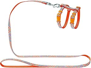 Hunter Seventies Puppy and Cat Harness Set, Orange