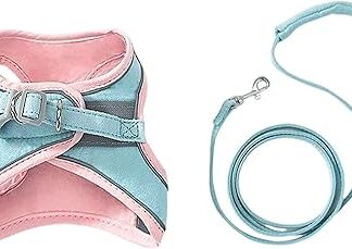 Set aus Geschirr und Leine für Katzen - Halsbänder, Geschirre und Leinen für Katzen | Kätzchenzubehör | Kätzchengeschirr und Leinen-Set | Katzengeschirr, Service-Katzenweste | Katzenzubehör für Nacht