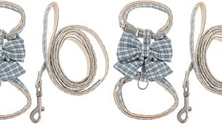 Mipcase 2 Sets for Running Belt with Adjustable Lead for Outdoor Dogs Soft Dogs Blue Training Harness Rope Conting Kitten Vest Cat Pet Lead Travel Costume