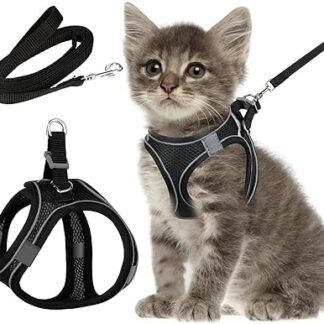 Cat Lead with Harness for Cats, Cat Harness with Lead, Escape Proof, Cat Harness Set with Lead for Cats, Kittens, Dogs, Puppies (XS)