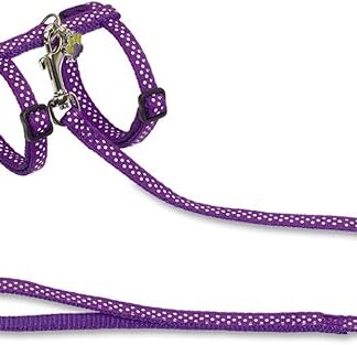 Nobby Dots Collar/Leash Set, Purple