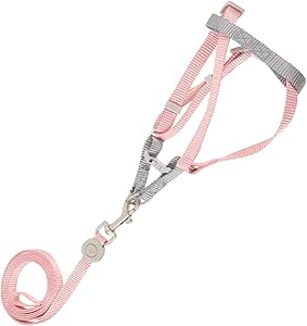 INOOMP Cat Collars 1 Set Adjustable Cat Harness Cat Lead for Outdoor Use Adjustable Cat Lead Handc Leather Belt Pet Harness Lead for Dogs Lead