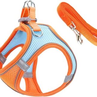 Qrity Cat Harness with Lead, Adjustable Cat Harness, Escape Proof, Reflective Strips, Chest Harness for Cats, Kittens, Hiking, Jogging, S
