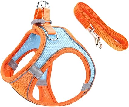 Qrity Cat Harness with Lead, Adjustable Cat Harness, Escape Proof, Reflective Strips, Chest Harness for Cats, Kittens, Hiking, Jogging, S