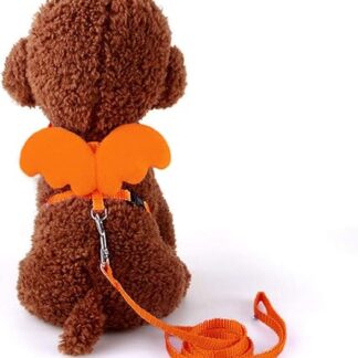 Adjustable Cat Collar Cat Harness and Lead Set Suitable for Small Dogs and Cats Lead Pet Accessories Orange S 20-34 cm