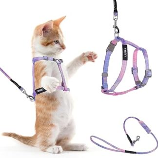 Giantree Cat Harness with Lead, Escape Proof, Adjustable Kitten Harness with Colour Gradient, Cat Harness with Lead and Collar Set for Kittens for Walking Outdoors (Purple)