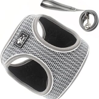 GRIRIW Set Haustierweste Geschirr Autogeschirr Für Geschirr Und Leine Katzenkäfig Katzen Katzengeschirr Kit Haustiere Welpengeschirr Extra Kleine Hundegeschirr Westen Katzenseil