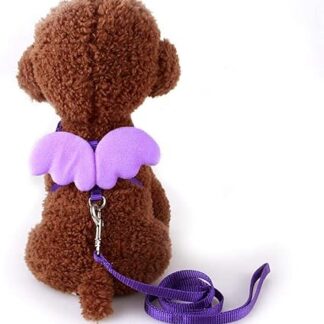Verstellbares Katzenhalsband Katzengeschirr und Leine Set geeignet für kleine Hunde und Katzen Leine Haustierzubehör-Purple_S_20-34cm