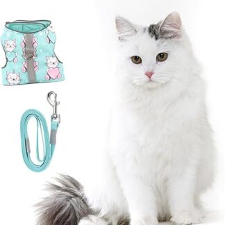 Happyyami Haustier Katzengeschirr Katze Leine Geschirr Katze Lauf Jacke Leuchtendes Katzengeschirr Hundegeschirr Mesh-Weste Leinengurte Für Katzengeschirr Haustier Geschirr Green Netz