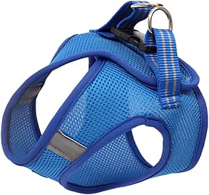 Kisangel Kaninchengeschirr Katzengeschirr Kätzchengeschirr Welpengeschirr Muskelshirt Tanktops Brustgurt für Katzen Haustier Geschirr reflektierend Weste Hosenträger Leine