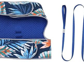 CIYODO 1 Set Reflective Vest for Cat Leads Dog Pet Harness Cat Harness and Lead High Visibility Vest Cat Harness with Lead Adjustable Cat Vest Running Vest Polyester Blue