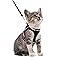 Cat Harness, Escape Proof with Lead, Cat Lead with Harness for Cats, Cat Reflective Stripes Chest Harness, Adjustable, Breathable, 150 cm Cat Lead for Small Cats (S, Blue)