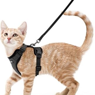 rabbitgoo Cat Harness with Lead, Black Soft Harness for Cats, Chest Harness, Cat Harness, Escape Proof, Adjustable Cat Vest, Black, XS