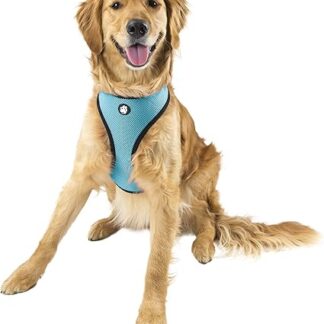 FurHaven Mesh Pet Harness, X-Large, Lagoon