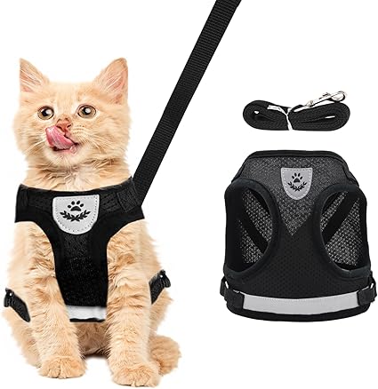 Shengxi Cat Harness and Lead Sets, Soft Mesh Vests Harnesses for Puppies, Escape Proof Cat Harness with Lead and Luminous Strips for Outdoor Training, Walking (Black/S)