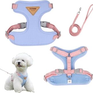Cat Harness, Cat Harness with Lead, Escape Proof, Adjustable Chest Harness, Cat Lead, Blue Cat Lead with Harness for Cats, Puppies, Cat Harness, Cats Harness (M)