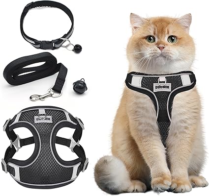 Cat Harness with Lead, Escape Proof, Adjustable Cat Harness, Escape Proof, Soft and Breathable Mesh, Cat Lead Harness for Cats and Small Dogs, Outdoor Training