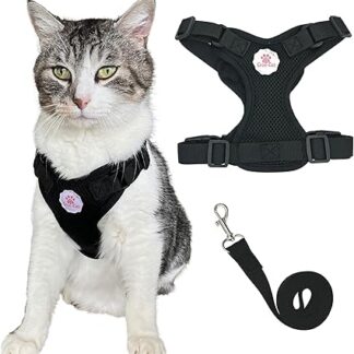 Croc-Cat® Cat Break Out Harness with Lead 150 cm, Rabbit Harness, Harness for Small Dogs, Cat Accessories Essential, Black, S